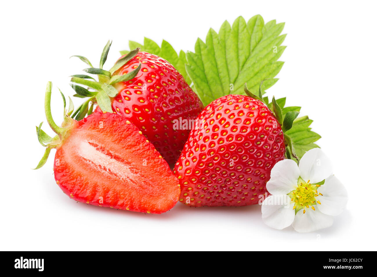 Strawberries with leaves and blossom. Isolated on a white background Stock Photo