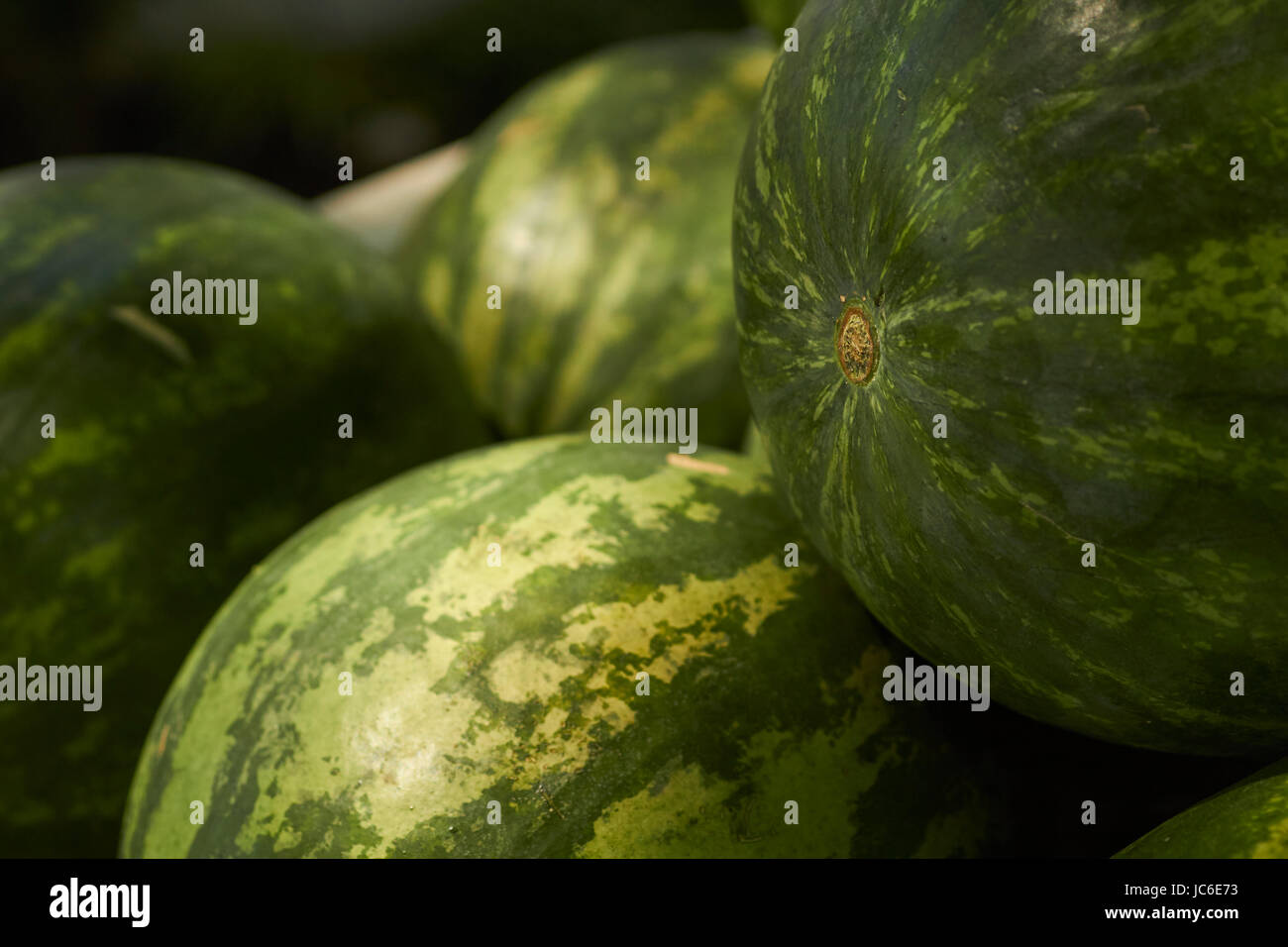 watermelons at a Lancaster Pennsylvania farm stand Stock Photo