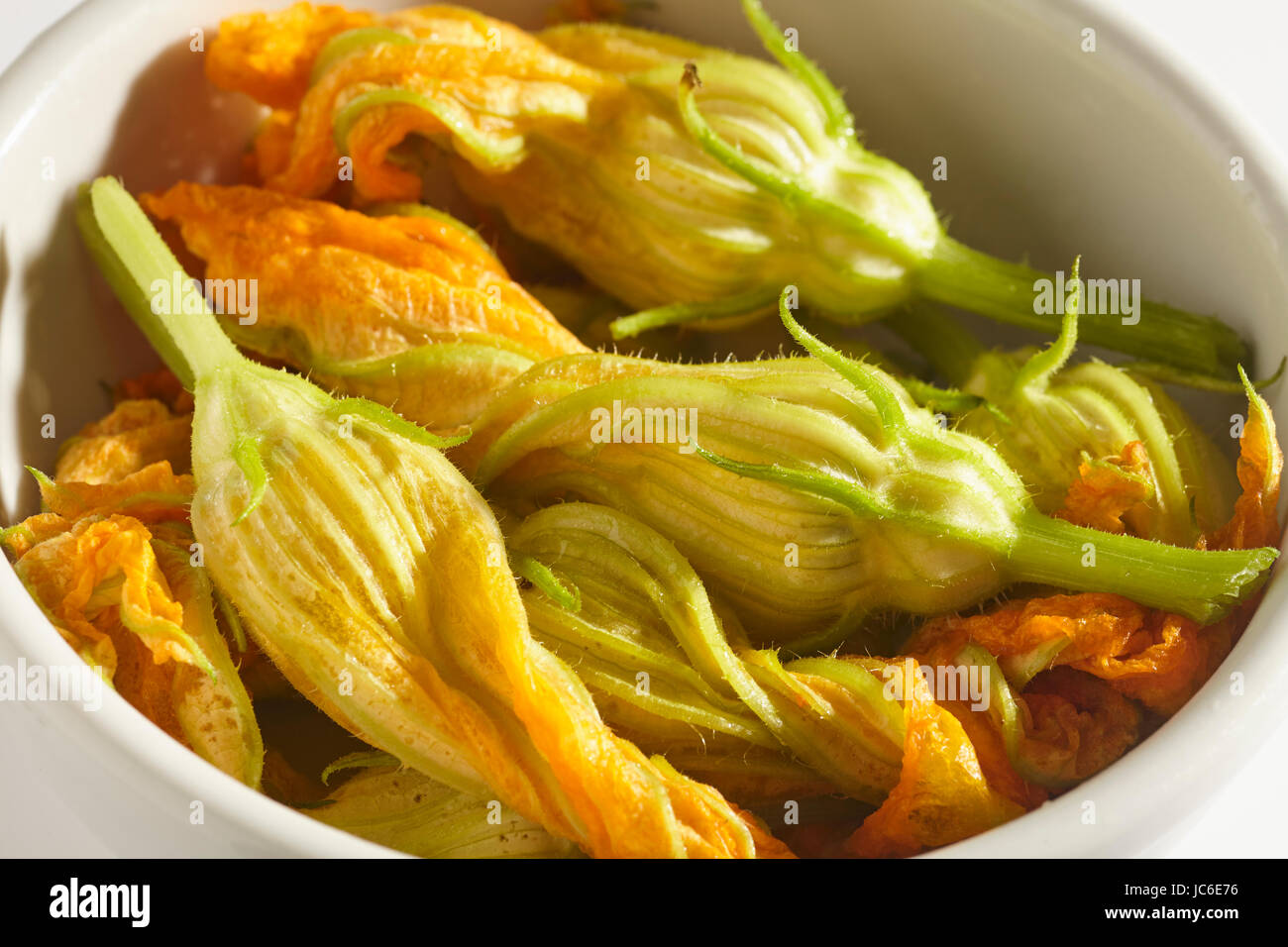 fresh zucchini flowers Stock Photo