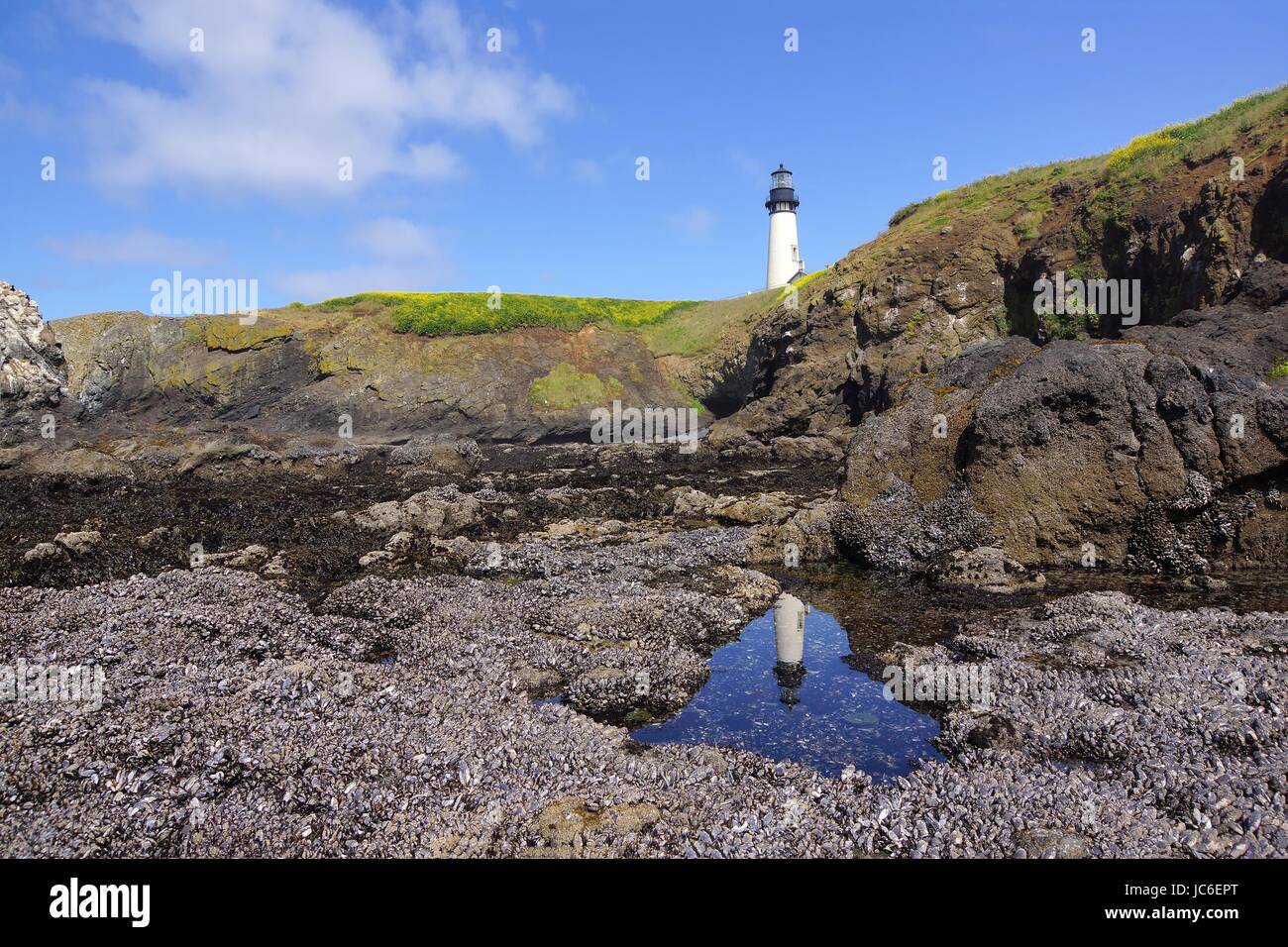 lighthouse reflection Stock Photo