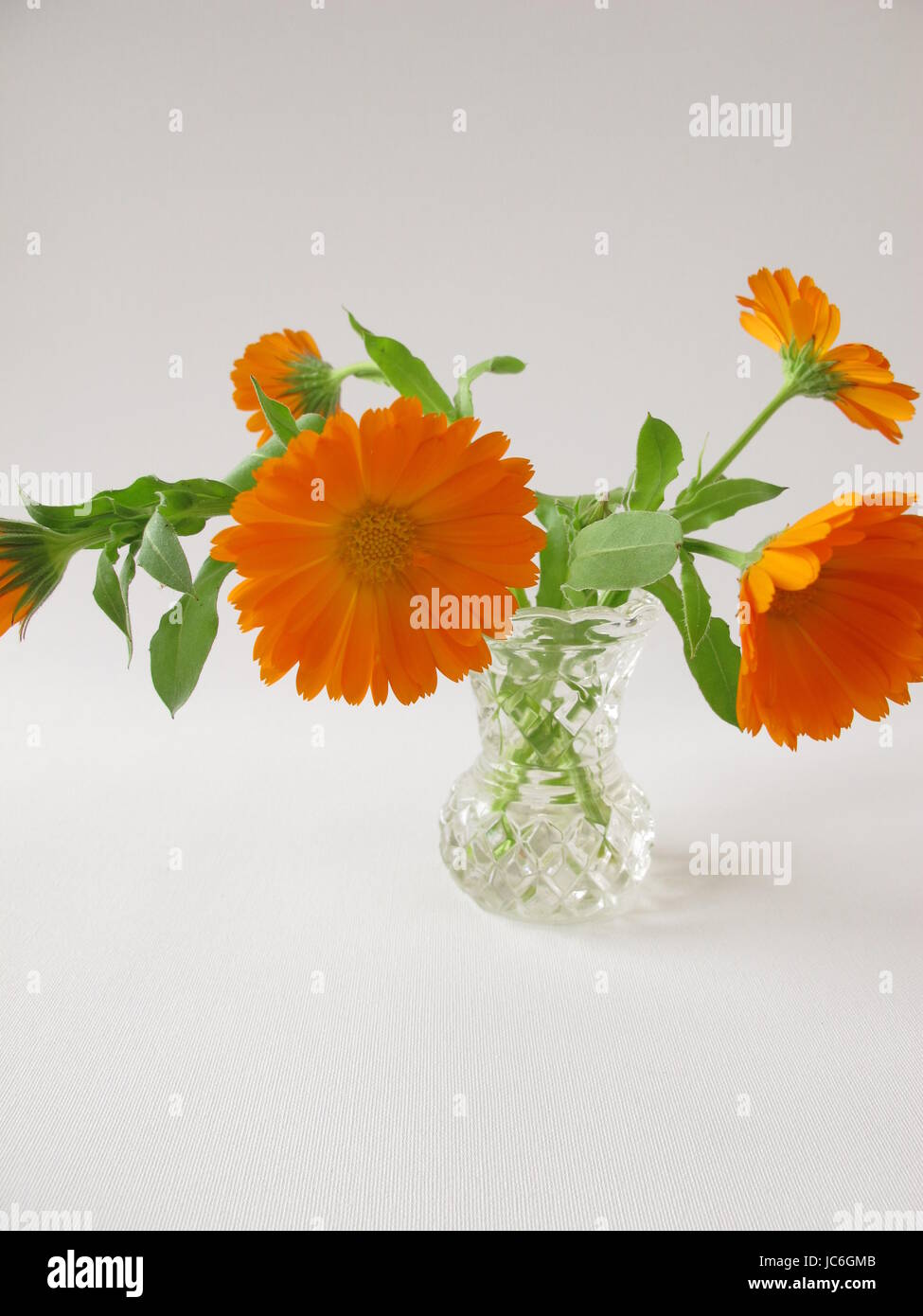 marigold flowers in vase Stock Photo Alamy