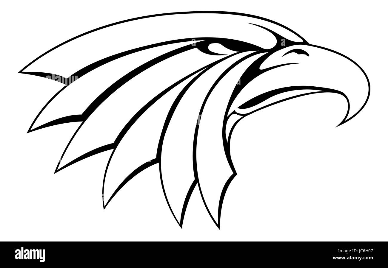 Us Military Eagle Vector Insignia High Resolution Stock Photography and