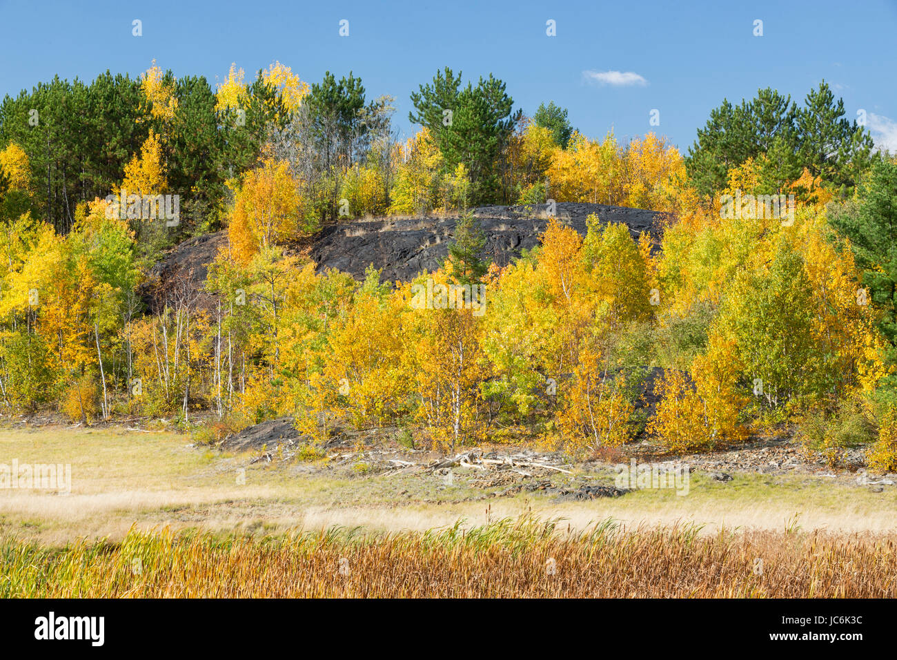Naturally regenerated landscape, Copper Cliff, Ontario, Canada Stock