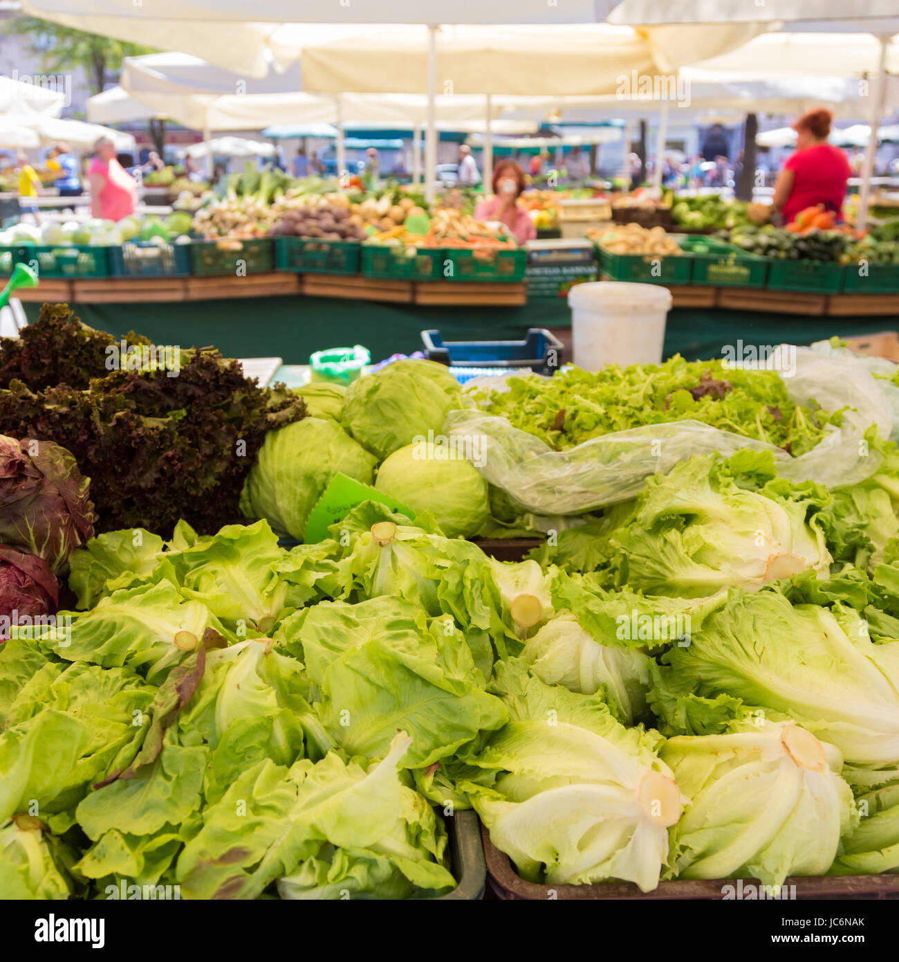 Market stall with variety of organic vegetable Stock Photo - Alamy