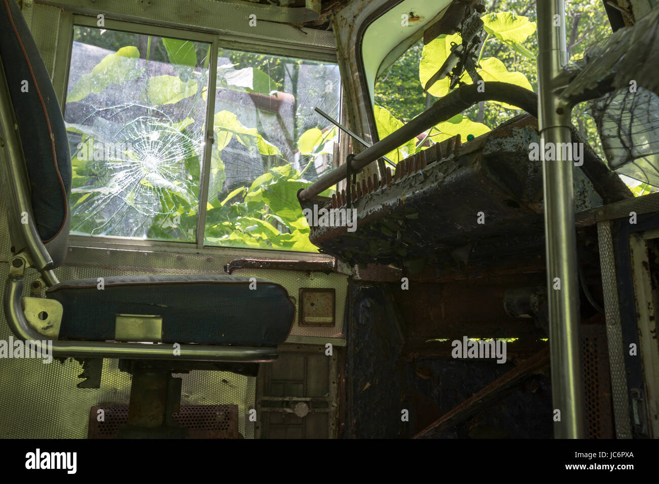 Car Overgrown By Weeds High Resolution Stock Photography and Images - Alamy