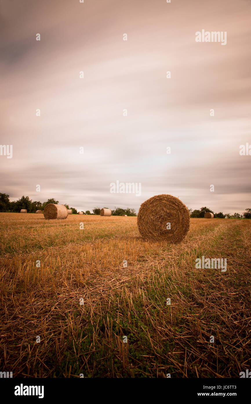stubble field with straw bales Stock Photo - Alamy