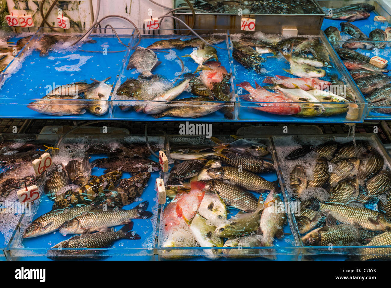 Live fish tank display in a wet market in Hong Kong. Stock Photo