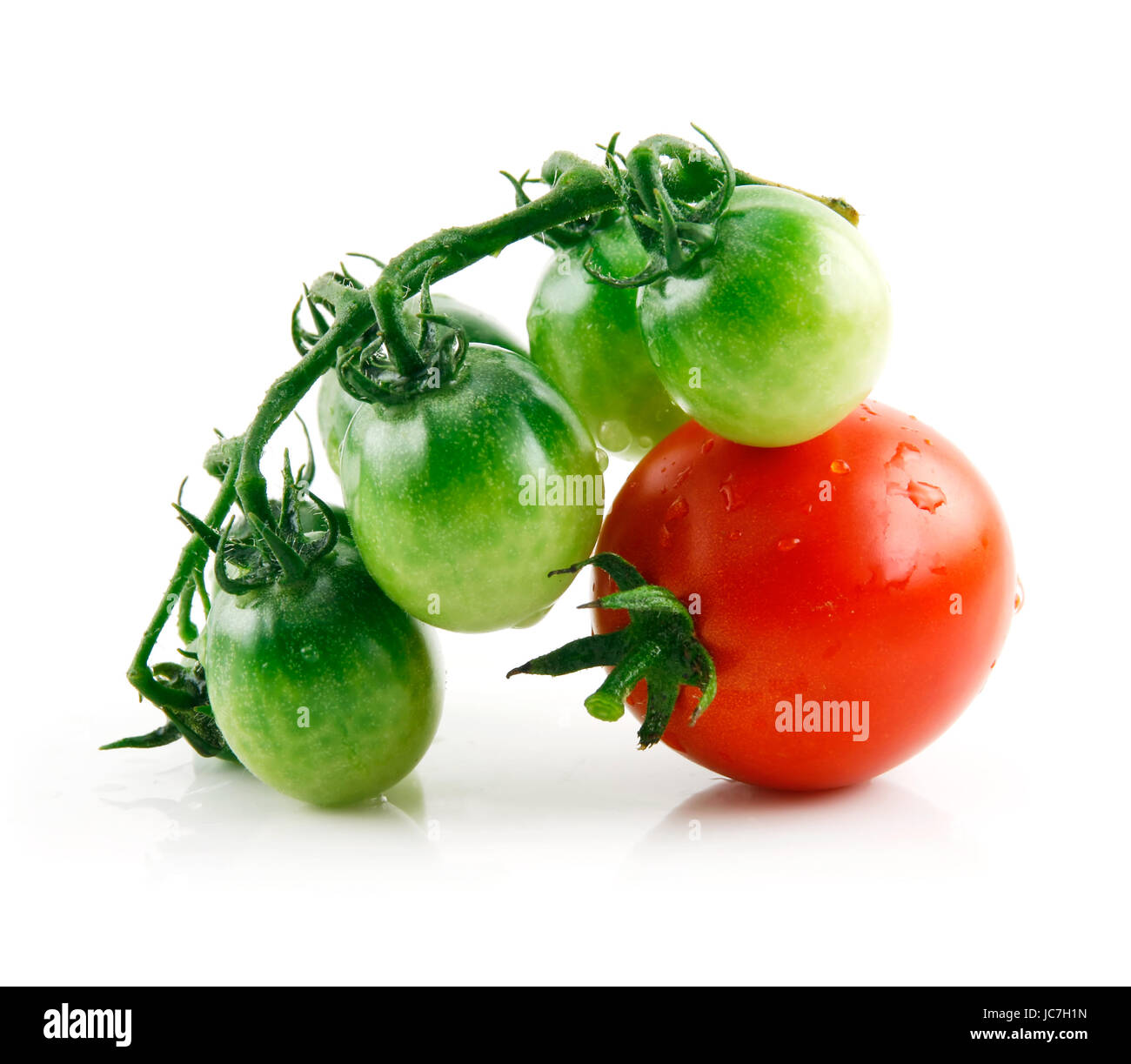 Ripe Wet Red and Green Tomatoes Isolated on White Background Stock ...