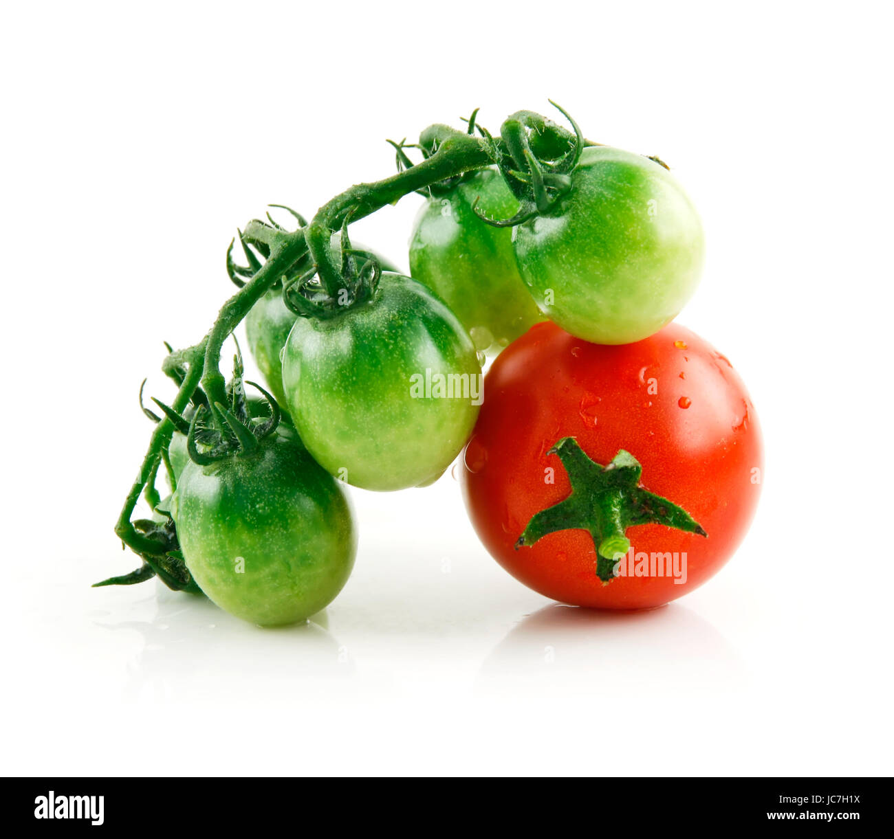 Ripe Wet Red and Green Tomatoes Isolated on White Background Stock ...