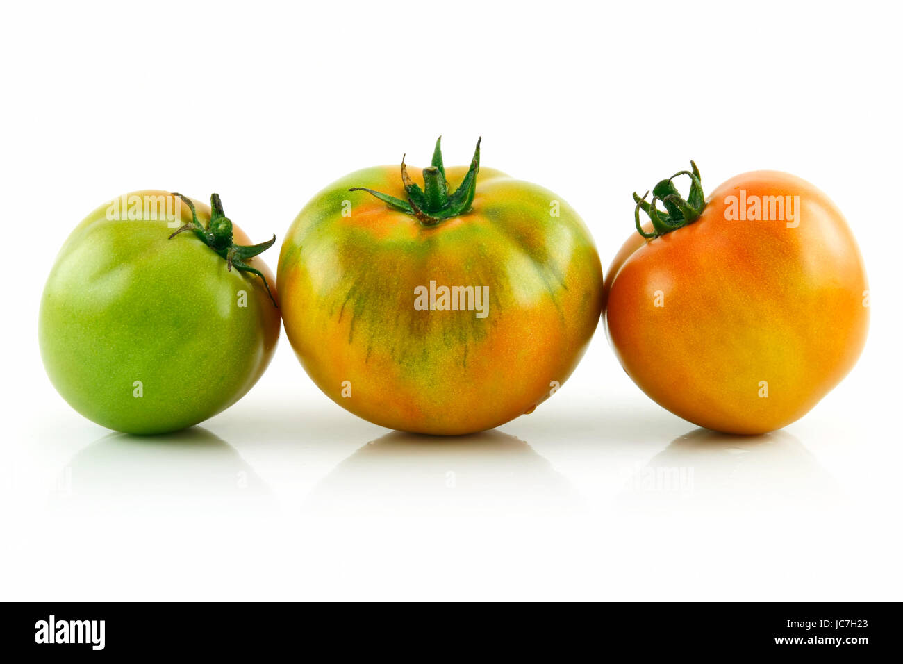 Ripe Wet Yellow Tomatoes in Raw Isolated on White Background Stock ...
