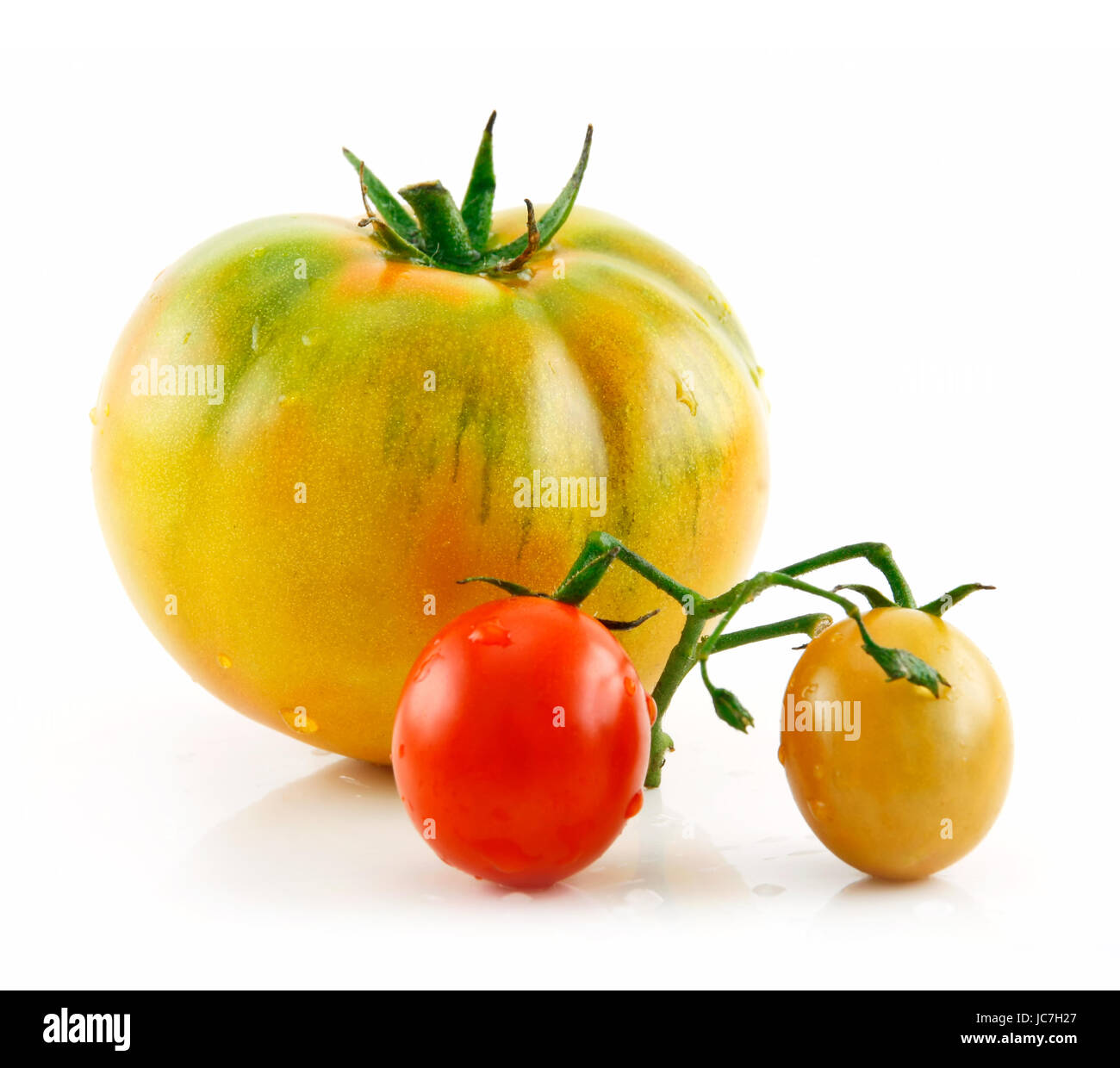 Ripe Wet Yellow and Red Tomatoes Isolated on White Background Stock ...