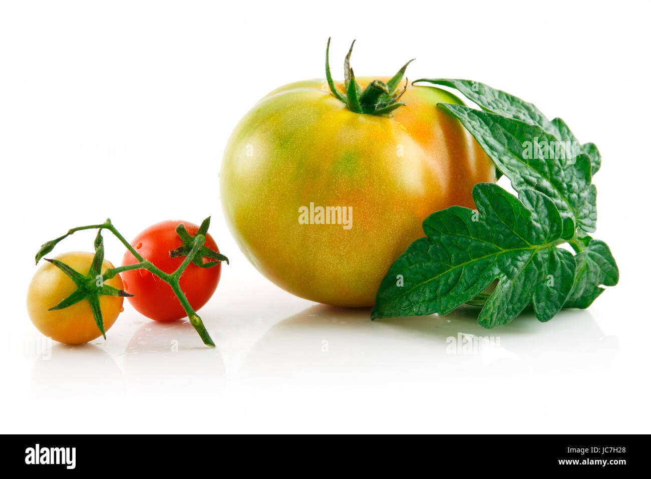 Ripe Wet Yellow and Red Tomatoes with Leaves Isolated on White ...