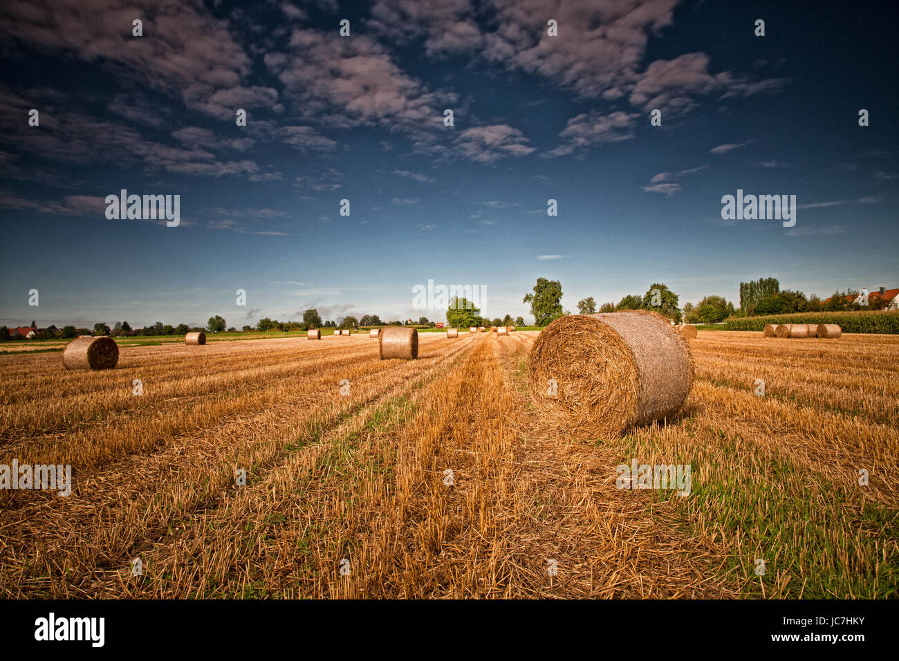 stubble field with straw bales Stock Photo - Alamy