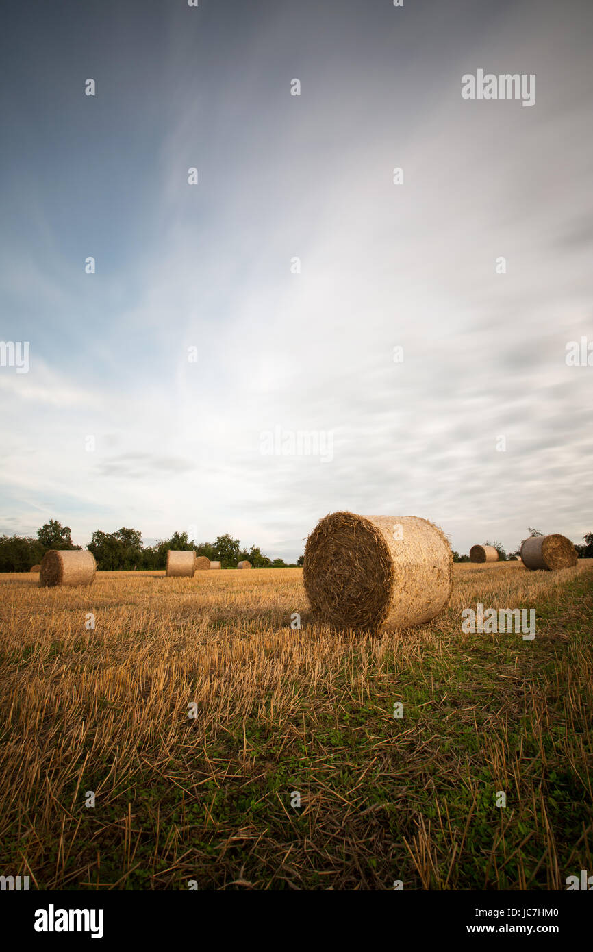 stubble field with straw bales Stock Photo - Alamy