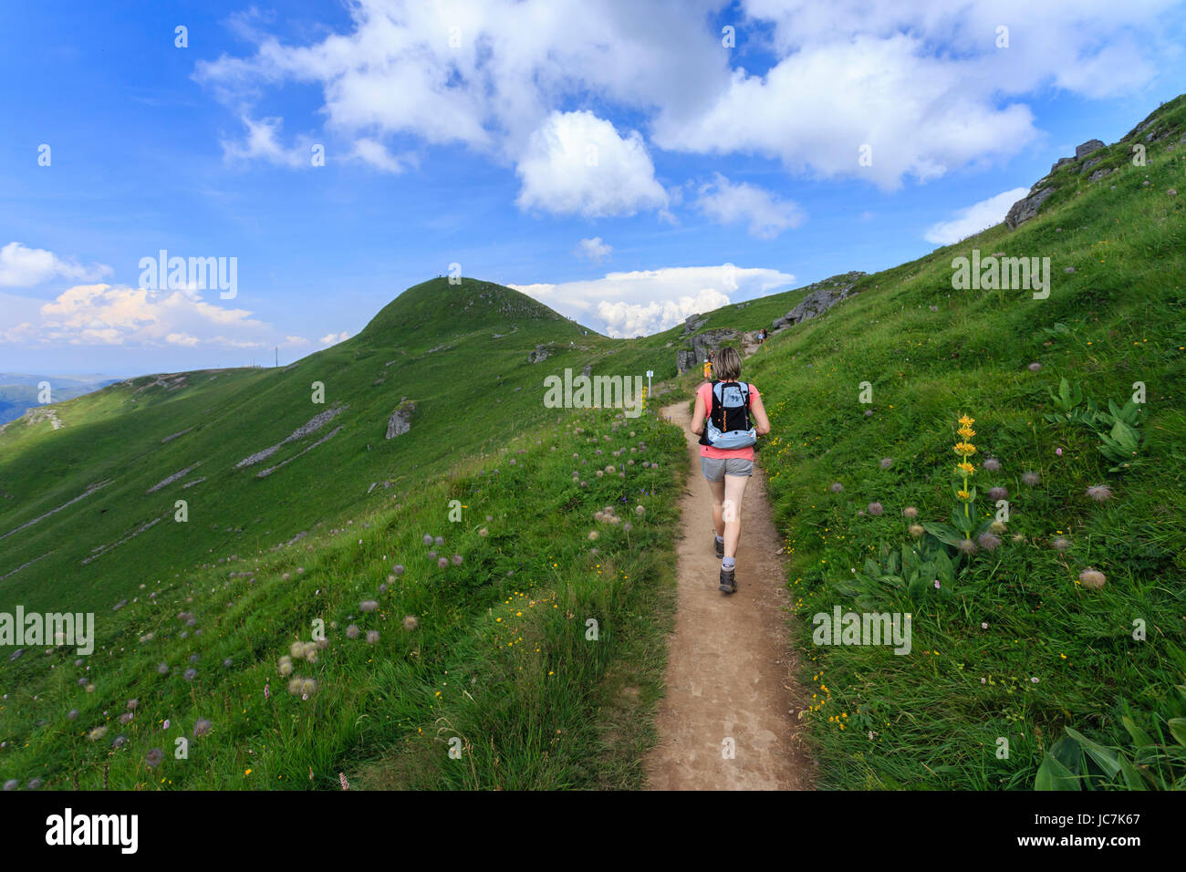 France, Cantal (15), le Plomb du Cantal, sentier vers le sommet devant // France, Cantal, Plomb du Cantal, trail to the summit to Stock Photo