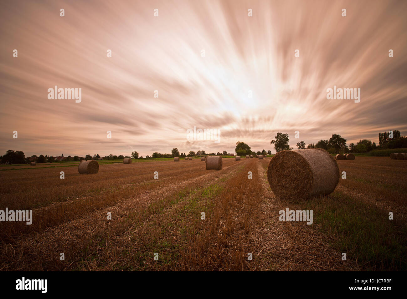 stubble field with straw bales Stock Photo - Alamy
