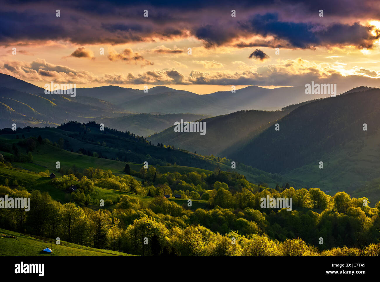 mountain rural area. agricultural fields on hills with forest. beautiful and vivid countryside landscape with cloudy sky at sunset. Stock Photo