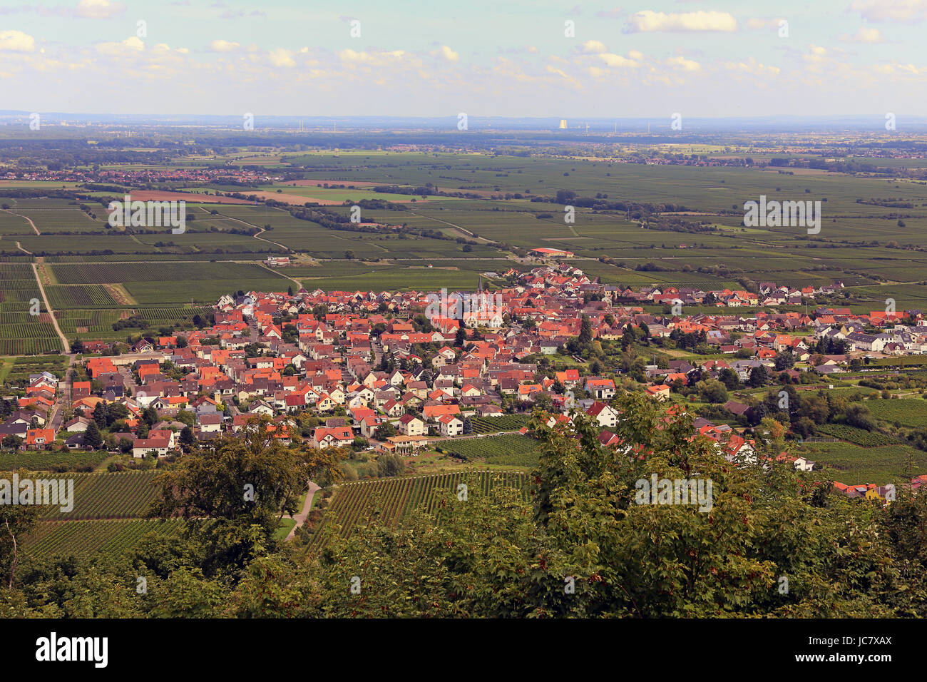 wine village diedesfeld in vorderpfalz Stock Photo