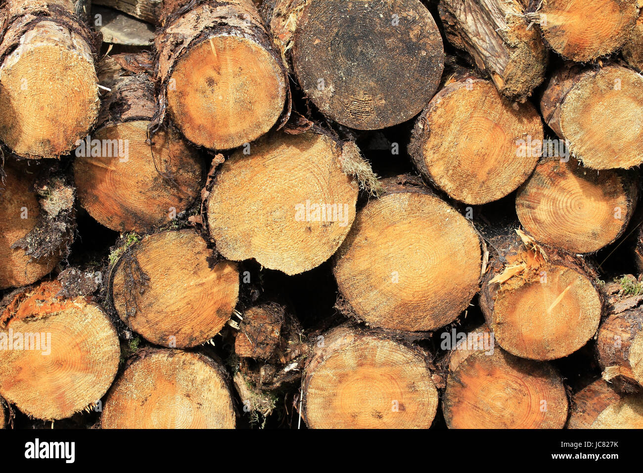 Square hearth hires stock photography and images Alamy
