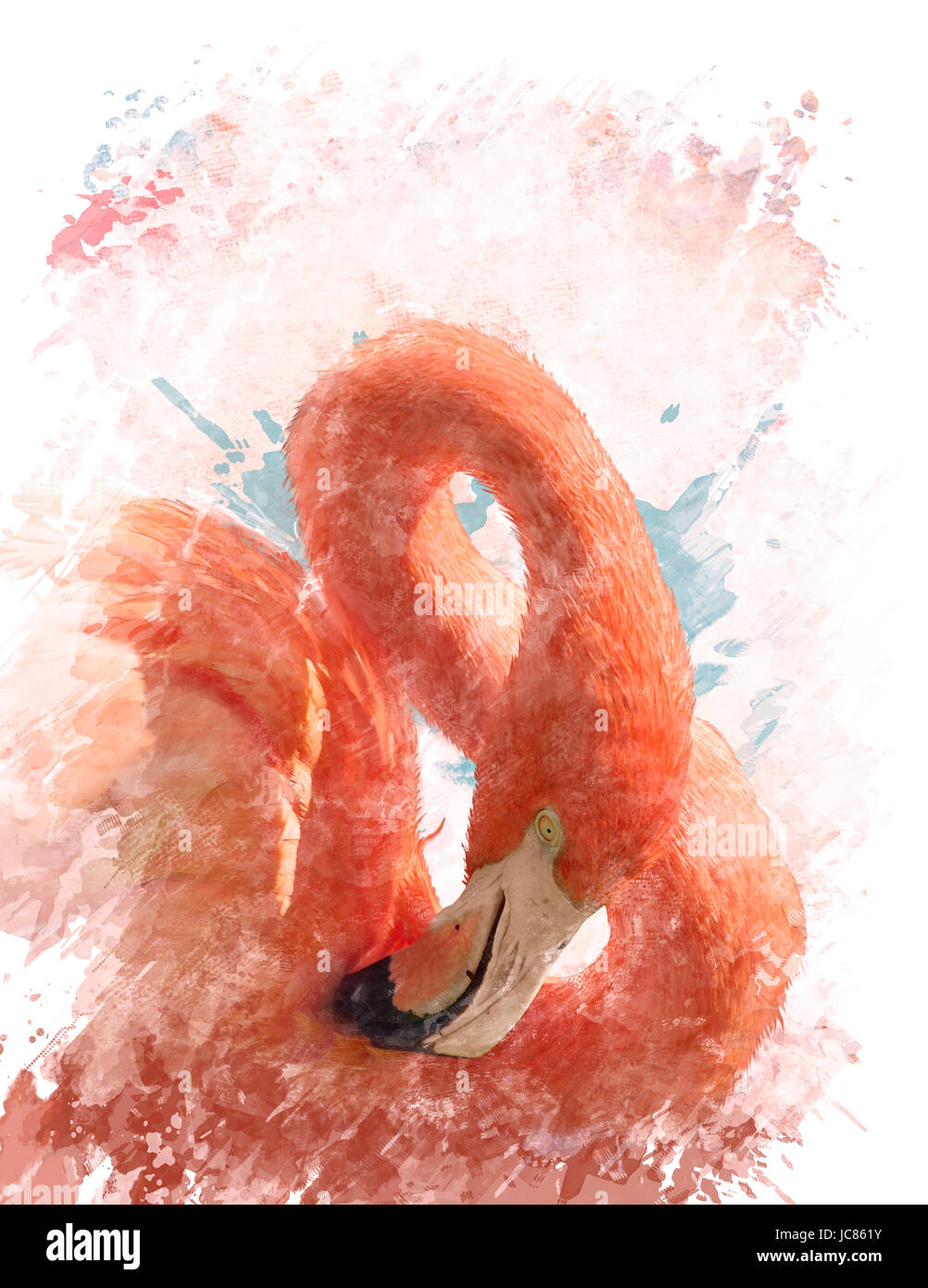 Watercolor Digital Painting Of Pink Flamingo Bird Stock Photo - Alamy