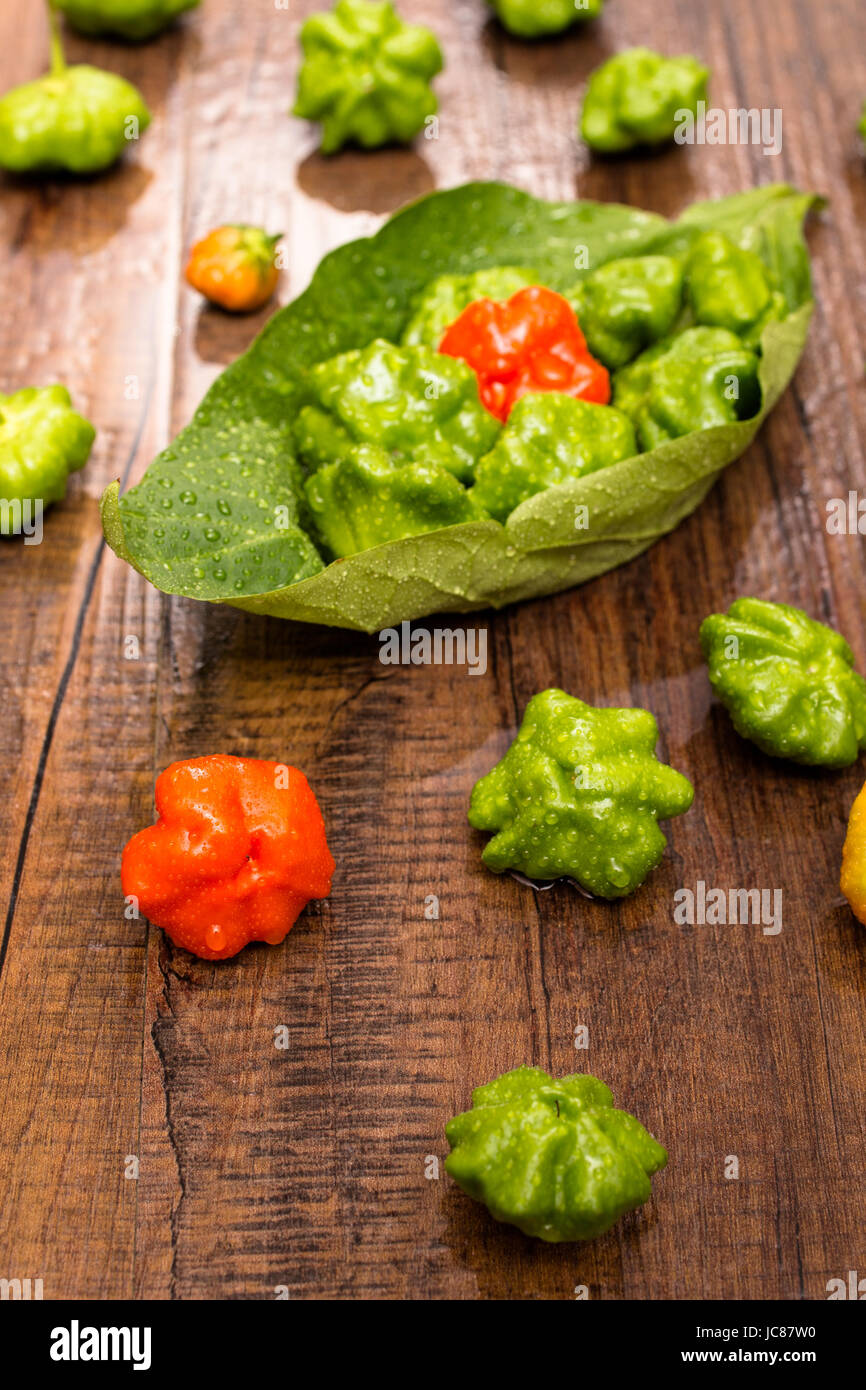 Paprika im wasser hires stock photography and images Alamy