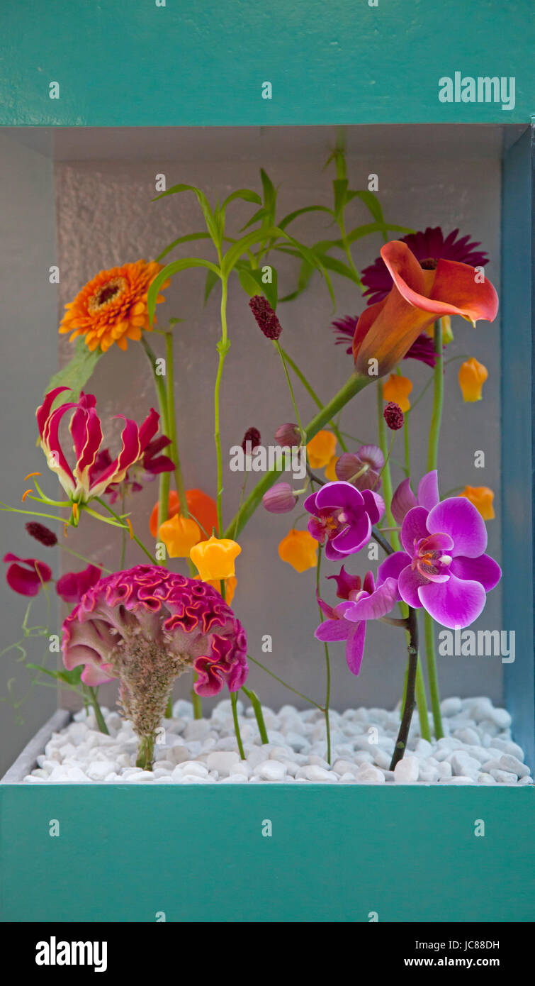 Flower arrangement competition hi-res stock photography and images - Alamy