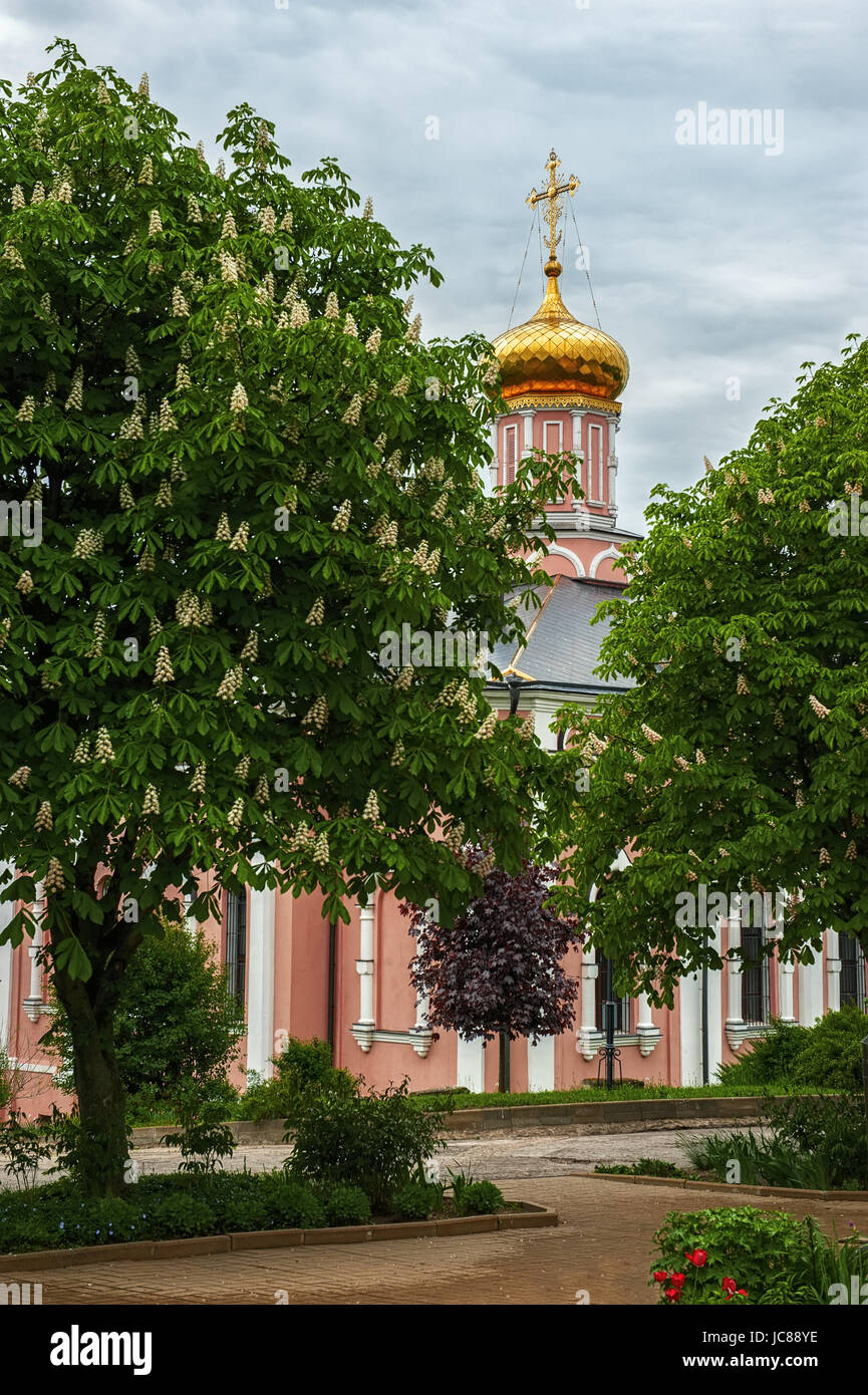 Ancient white-stone Orthodox Church monastery of the Golden domes among the trees. Stock Photo