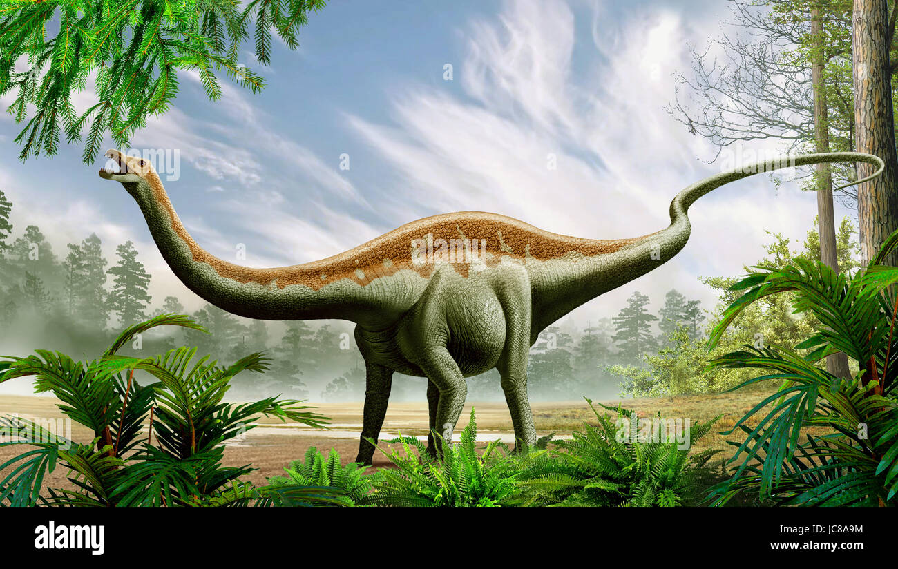 Limaysaurus is a herbivorous rebbachisaurid sauropod dinosaur from the Lower Cretaceous of northwestern Patagonia. Stock Photo