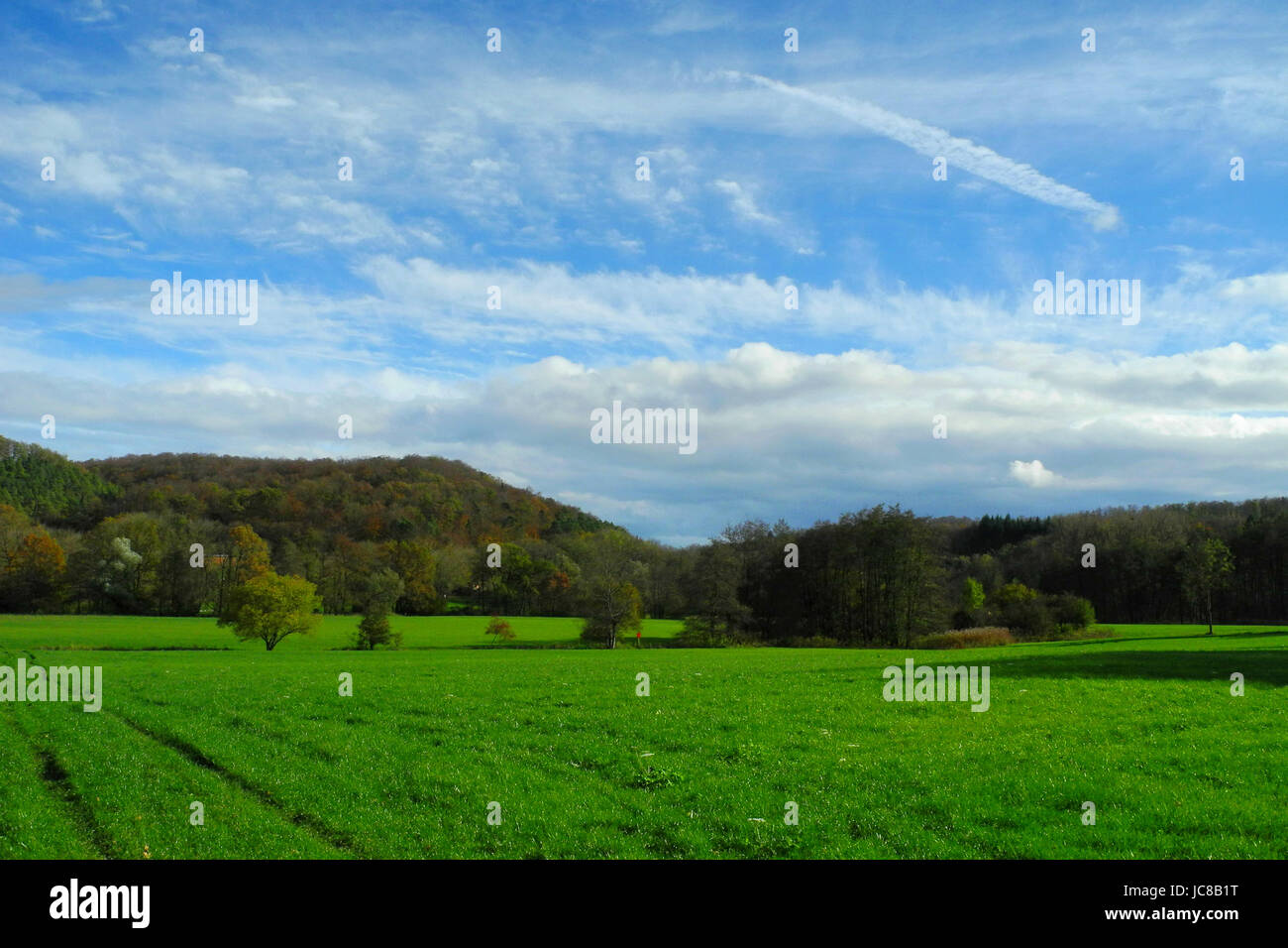 storm clouds over the autumn forest Stock Photo - Alamy