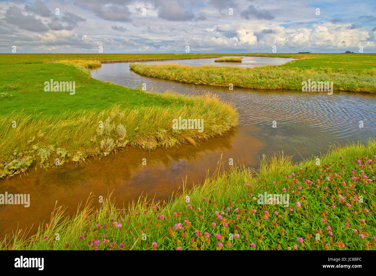 north sea salt water Stock Photo Alamy