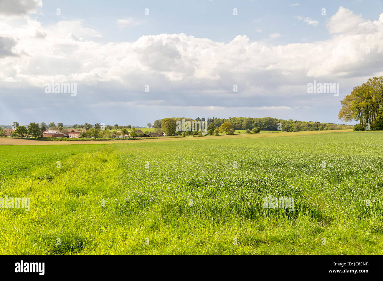 small rural village in Southern Germany at spring time Stock Photo