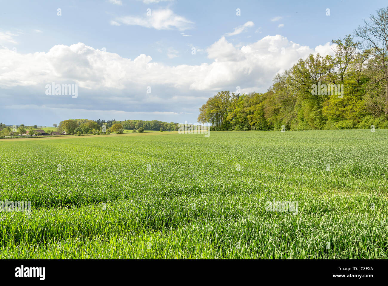 scenery around a small rural village in Southern Germany at spring time Stock Photo