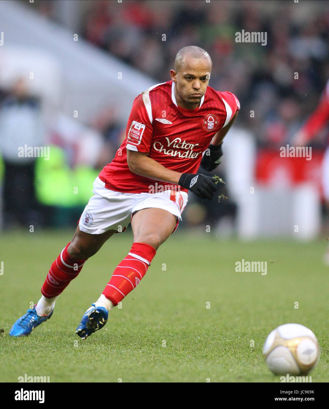 Robert earnshaw forest hires stock photography and images Alamy