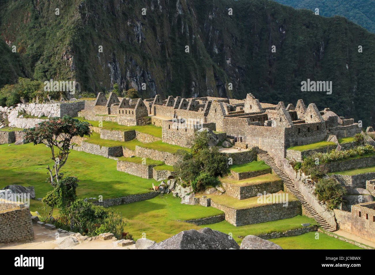 Inca citadel Machu Picchu in Peru. In 2007 Machu Picchu was voted one of the New Seven Wonders of the World. Stock Photo