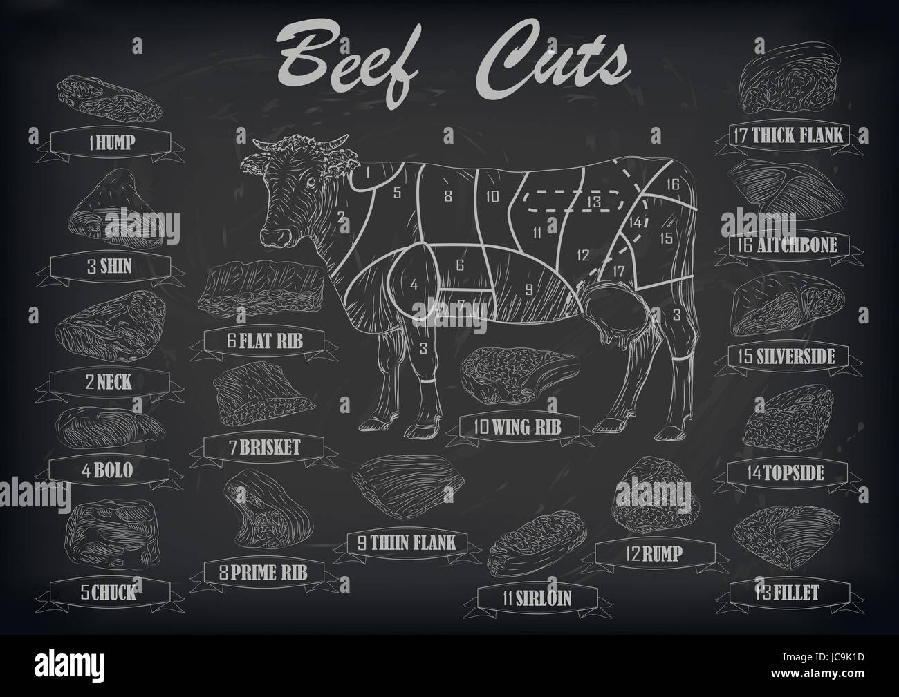 Beef cow bull whole carcass cuts cut parts infographics scheme sign signboard poster butchers guide: neck, chunk, brisket fillet rump. Vector beautifu Stock Vector