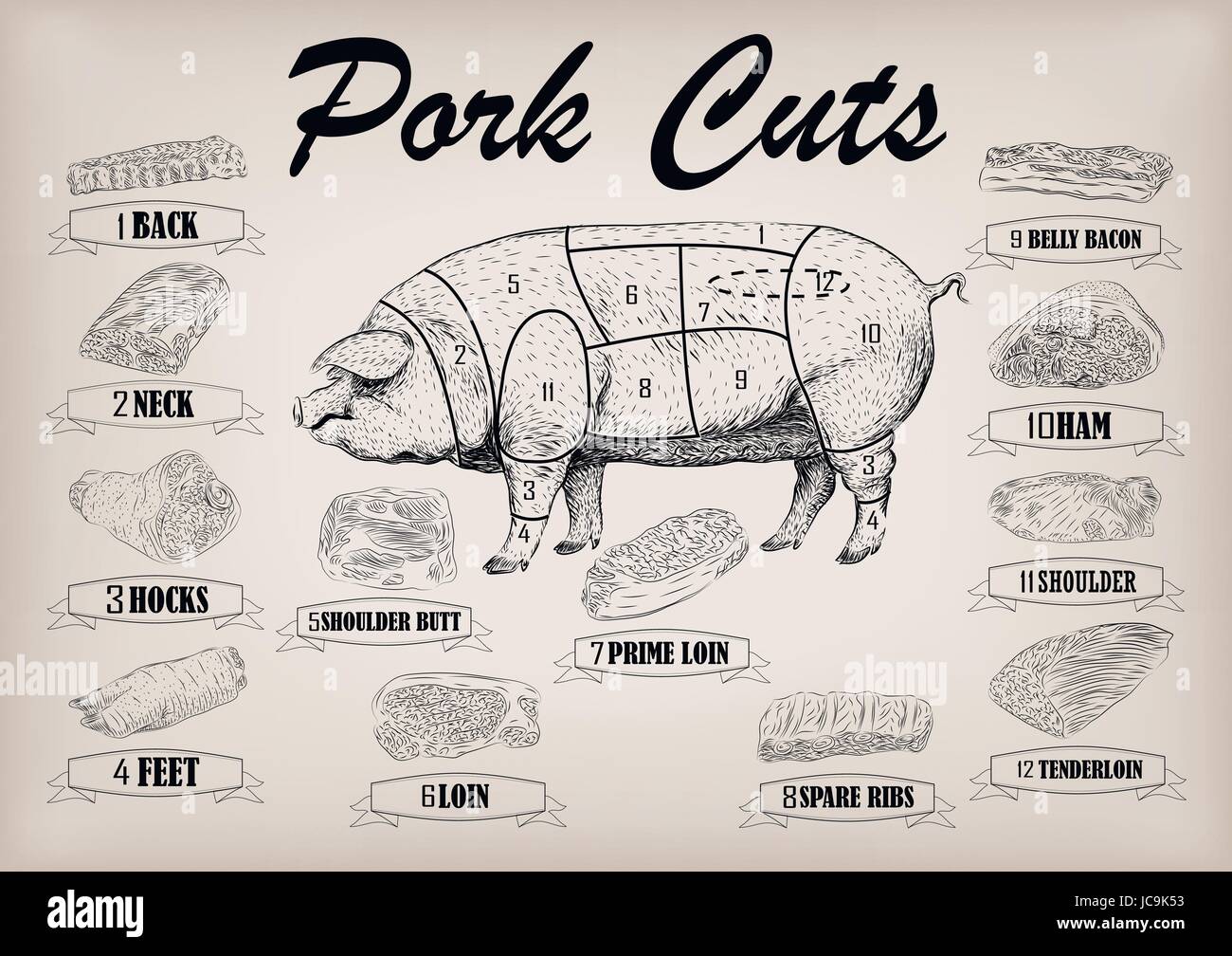 Pork Cuts Diagram Parts Of A Pig