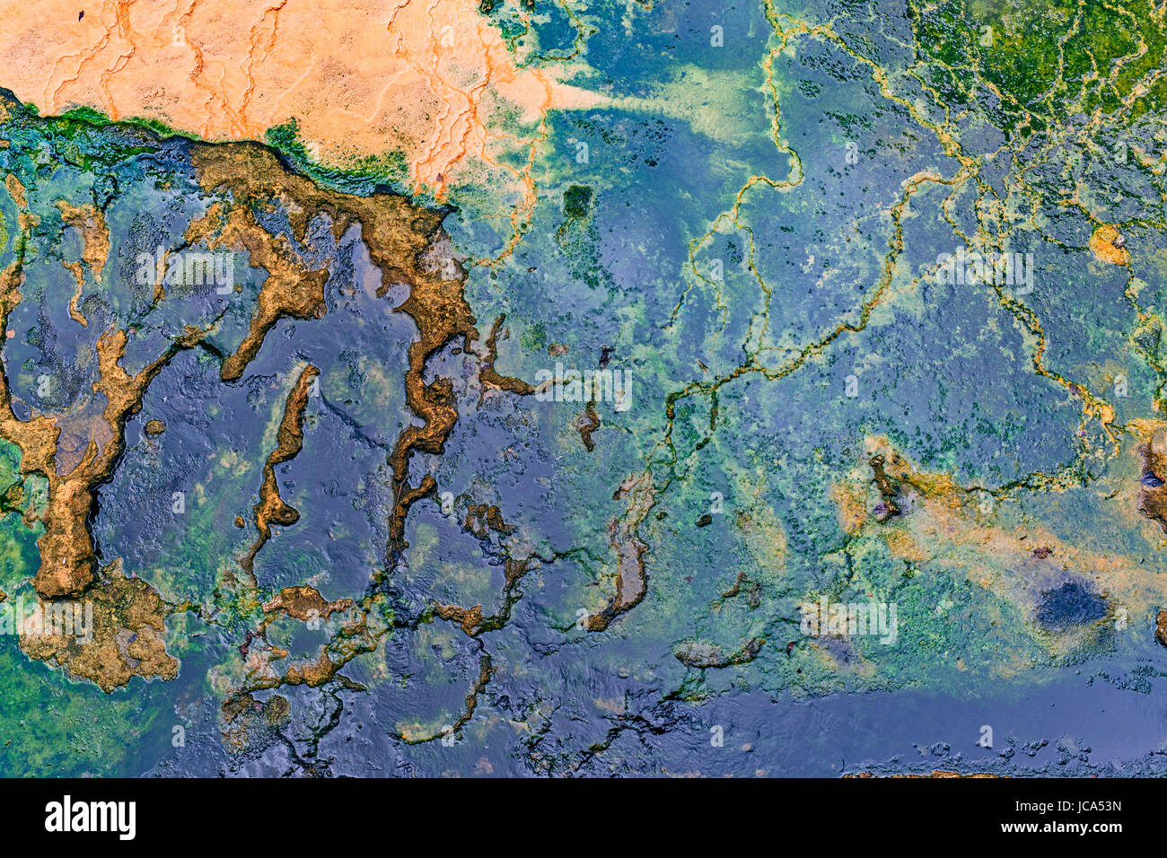 Seaweed and colored bacteria on hot water surface Stock Photo Alamy