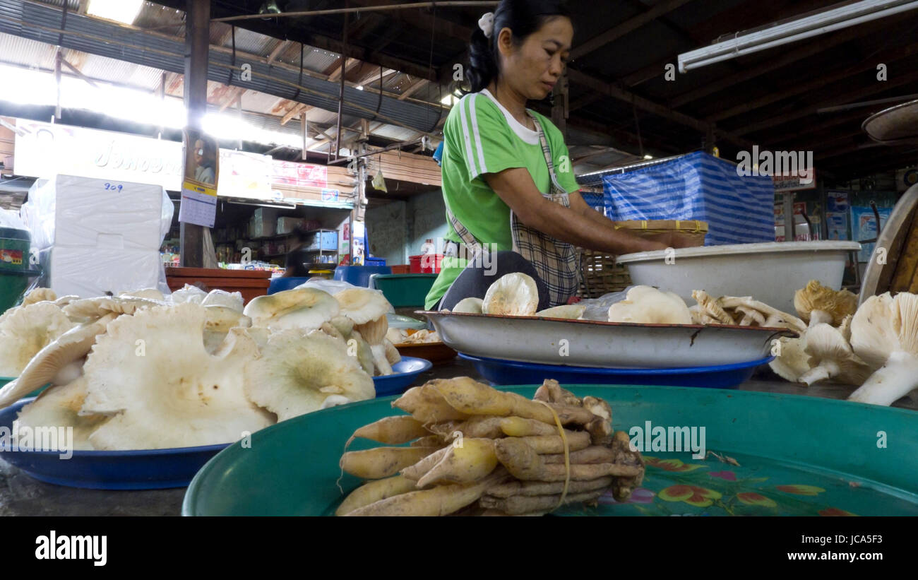 Chiang Mai Thailand 27-May-2011: A woman is working hard at the market in Chiang Mai. Stock Photo