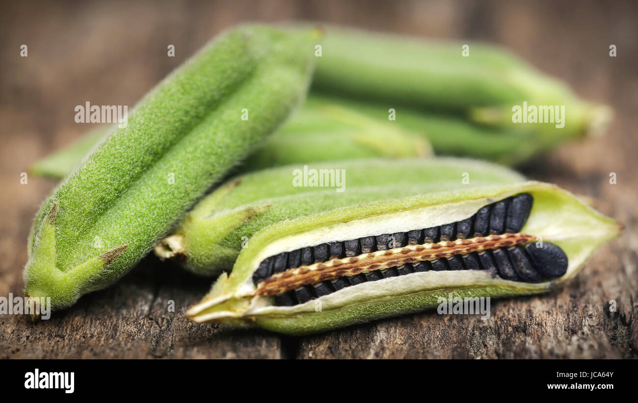 Sesame seeds with pods on wooden surface Stock Photo
