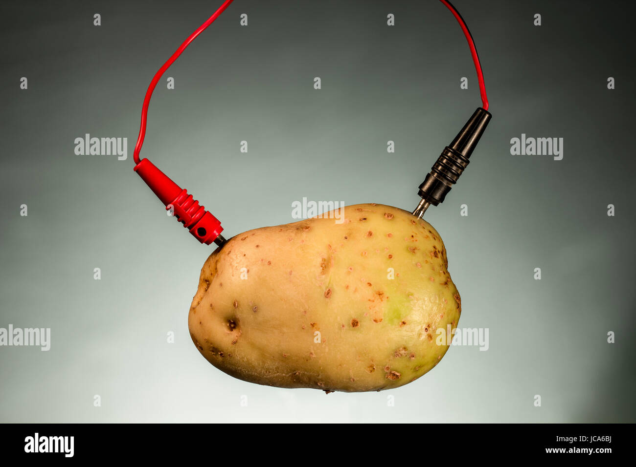 Potato as source of power. Energy crops Stock Photo