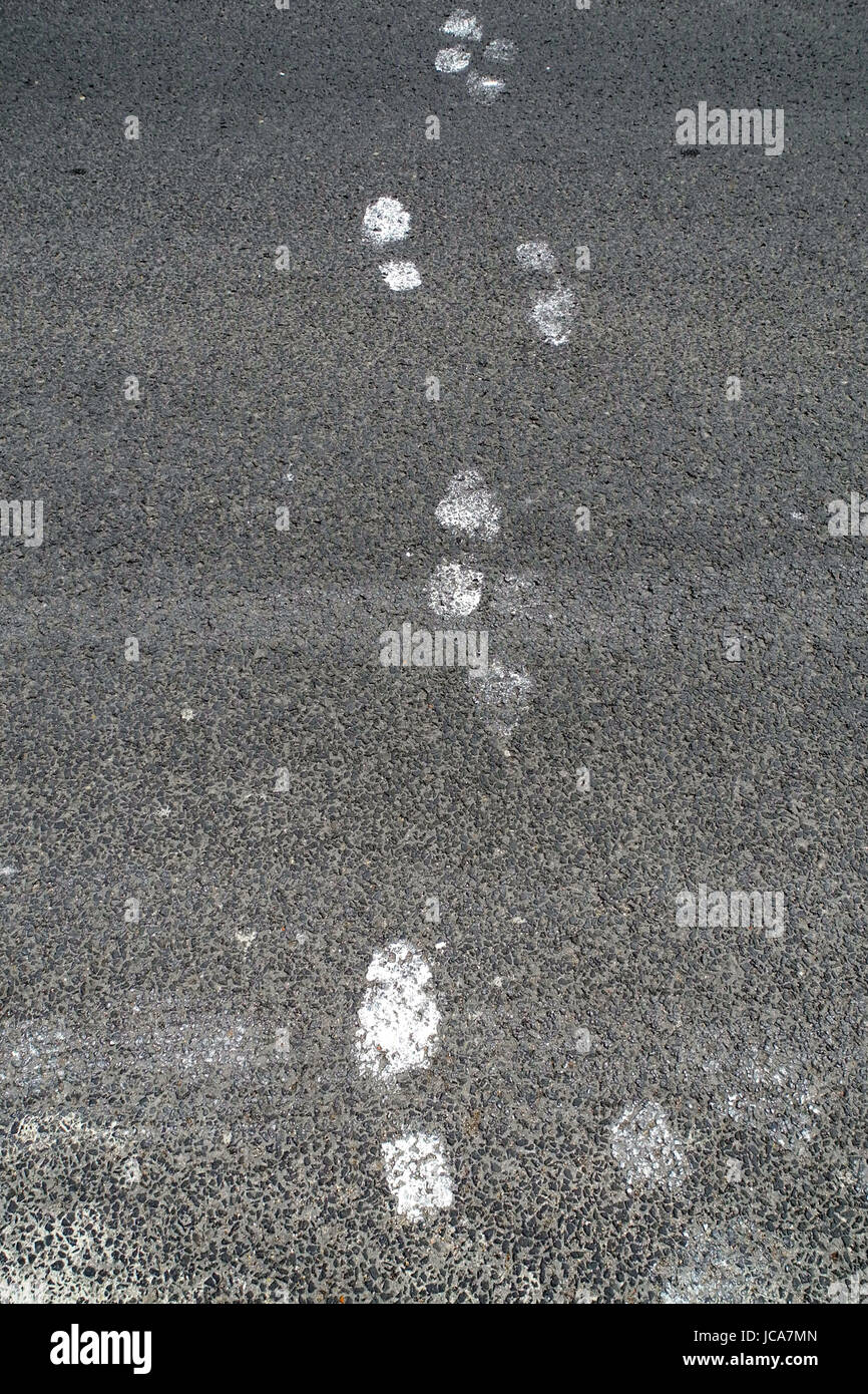 white marks in the asphalt Stock Photo Alamy