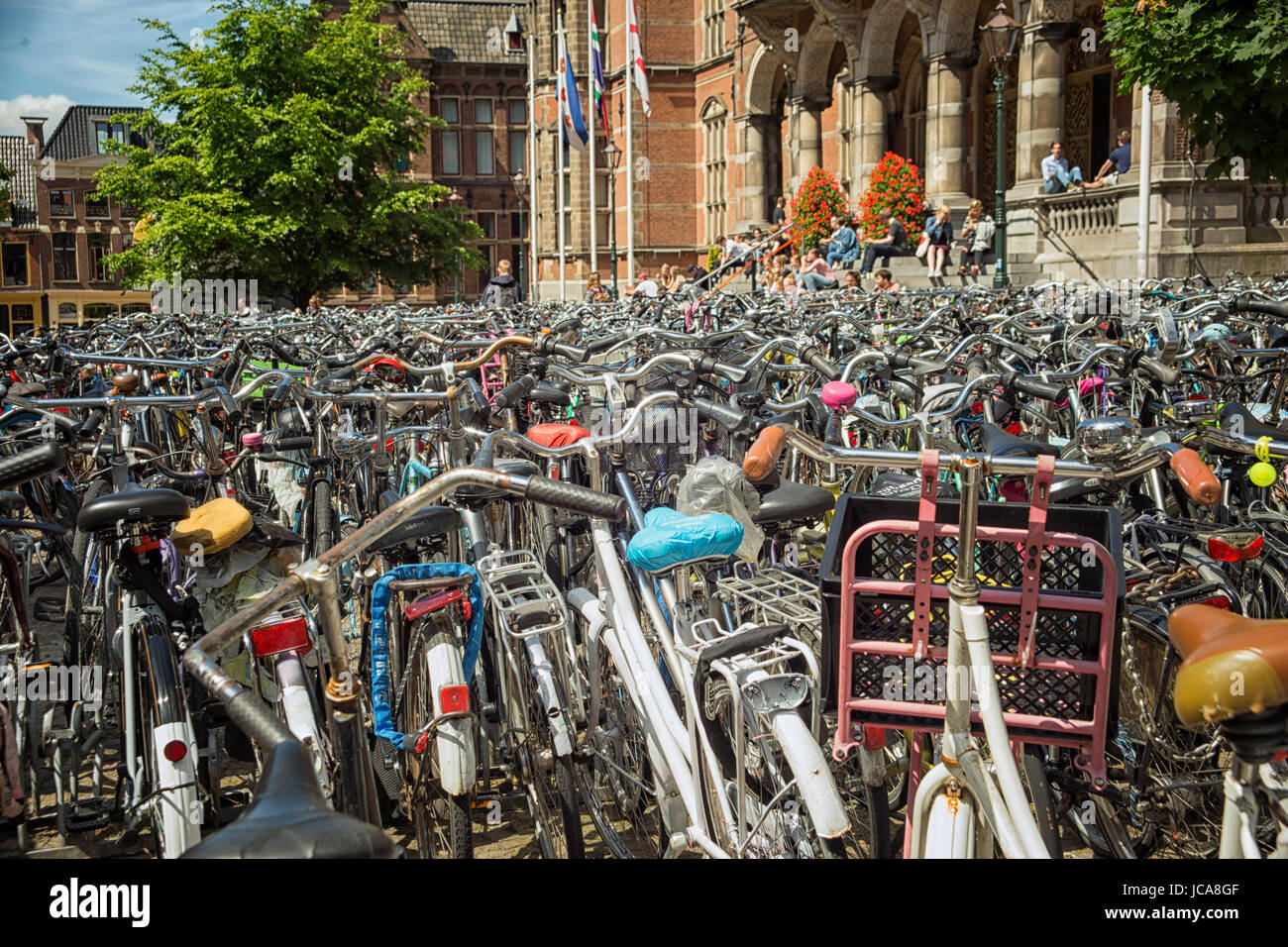 Hundreds of bikes in front of the main entrance of the RUG University of Groningen in the Netherlands Stock Photo