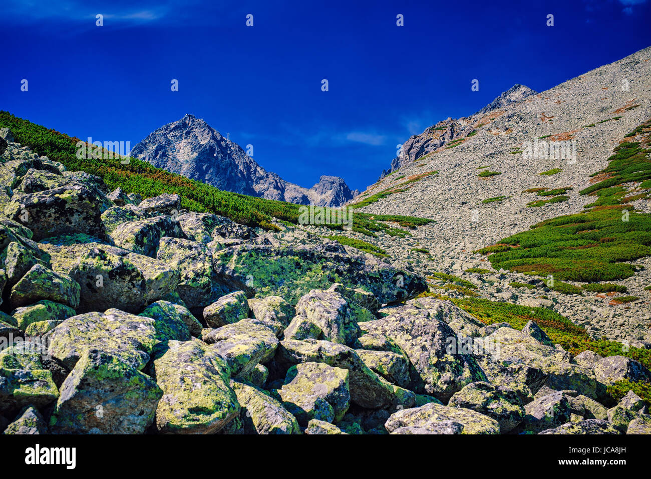 High Tatra Mountains landscape with stones Stock Photo