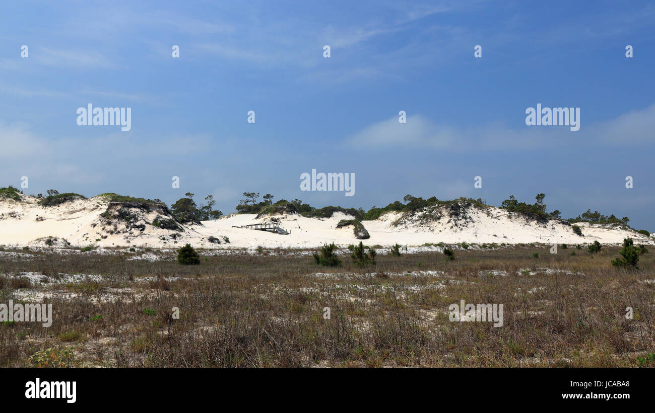 Remnants of a boardwalk  on a mature sand dune in Florida Stock Photo