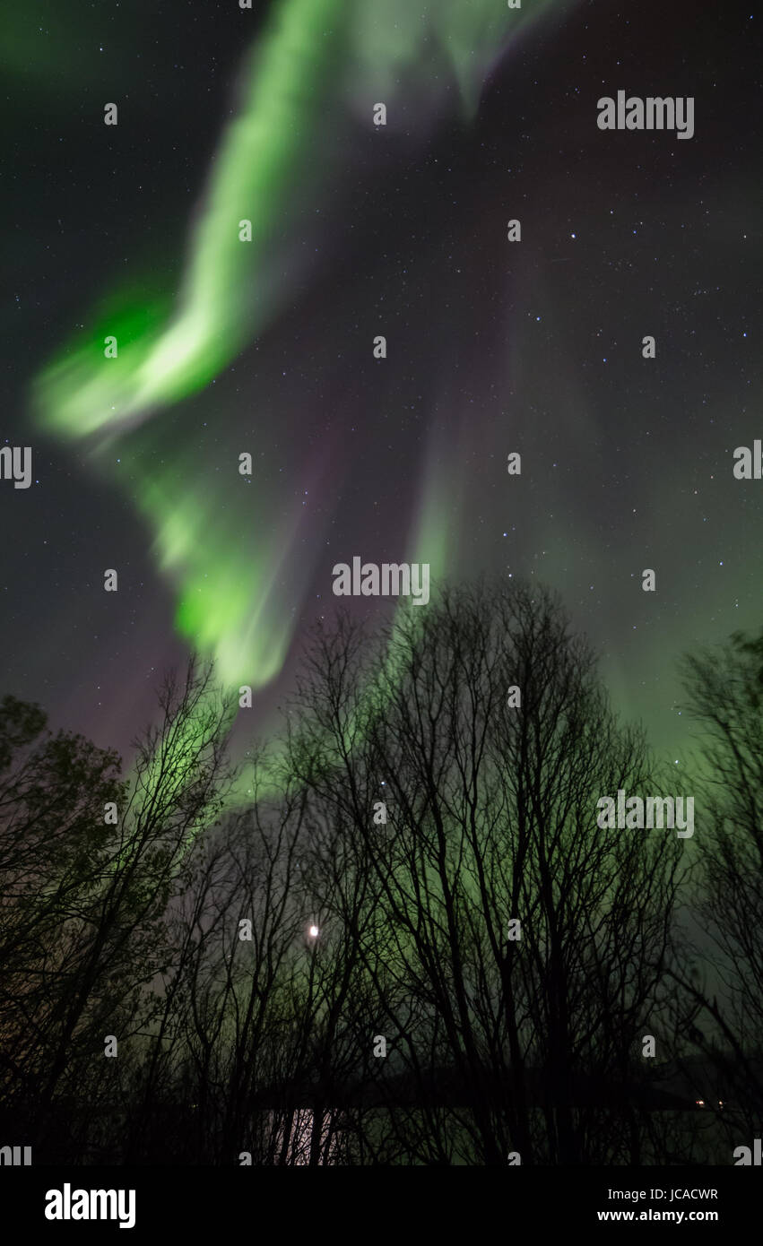 Aurora borealis or northern lights moving across night sky within the ...