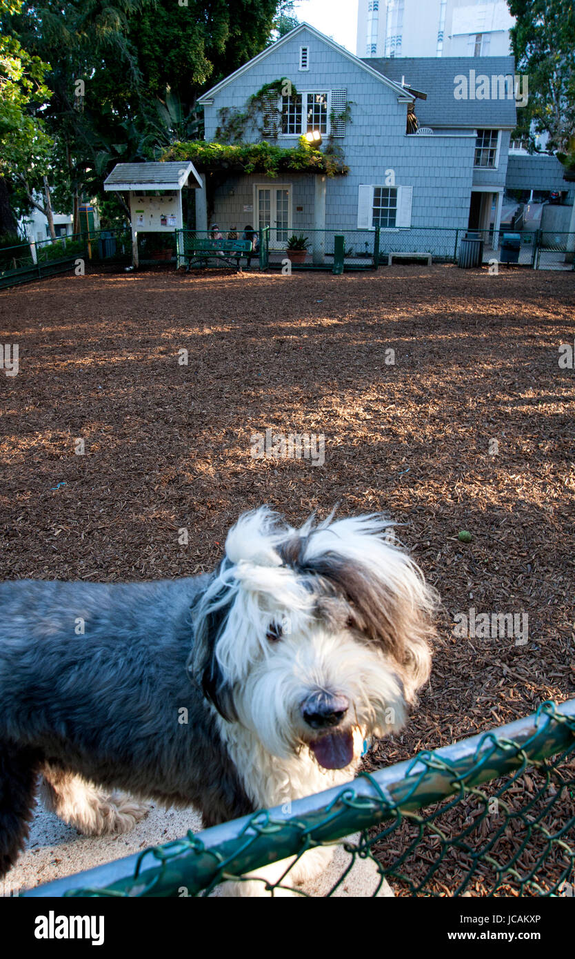 The William S. Hart Dog Park on the Sunset Strip in Los Angeles, CA Stock Photo