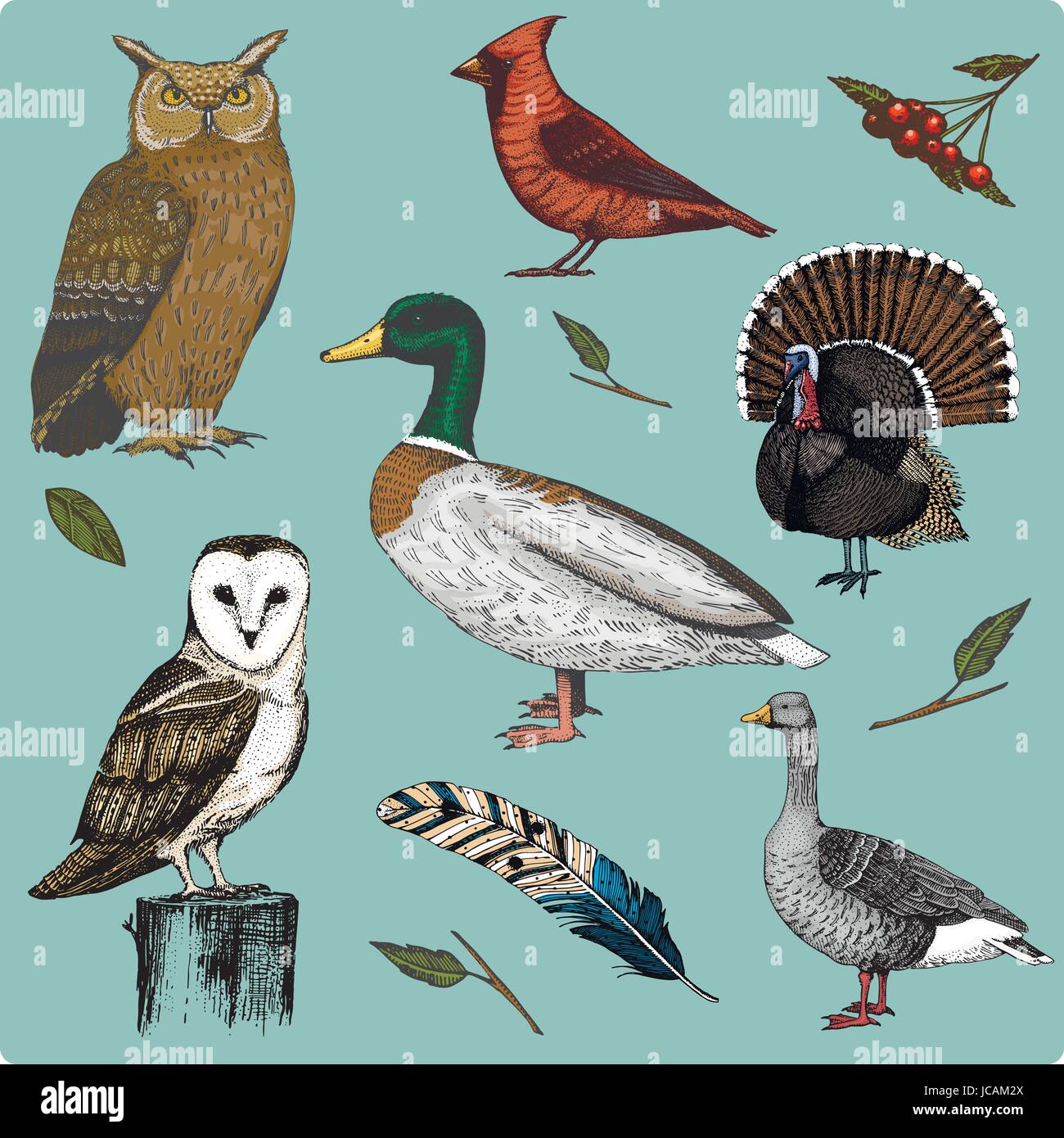 19 bird drawings by conbatiente | Image