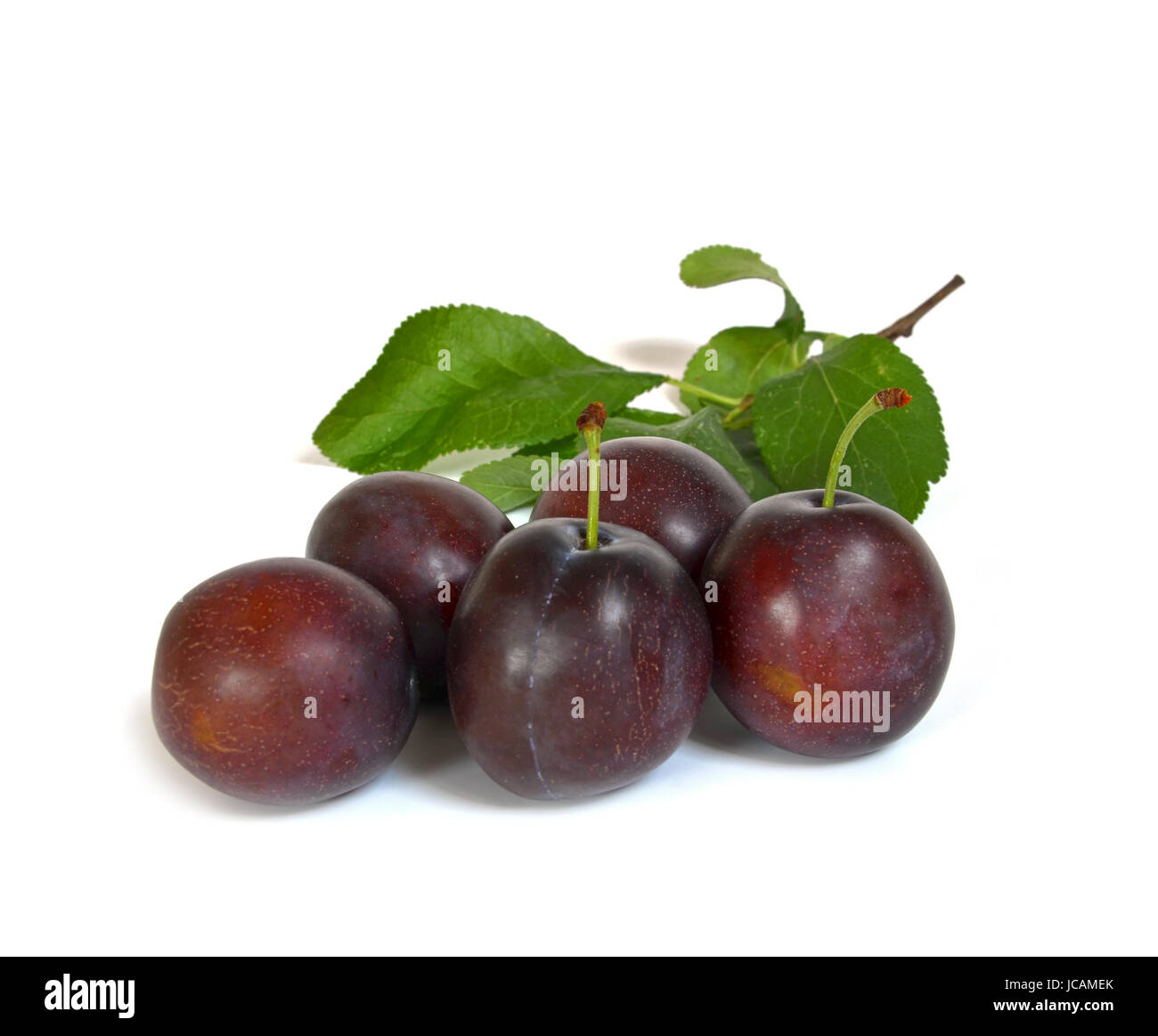Plums boiling hires stock photography and images Alamy