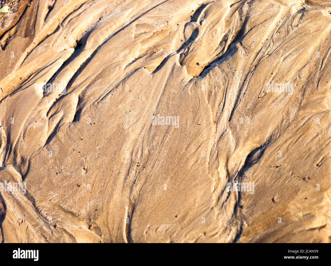 Sand surface after the rain with the relief formed by water currents