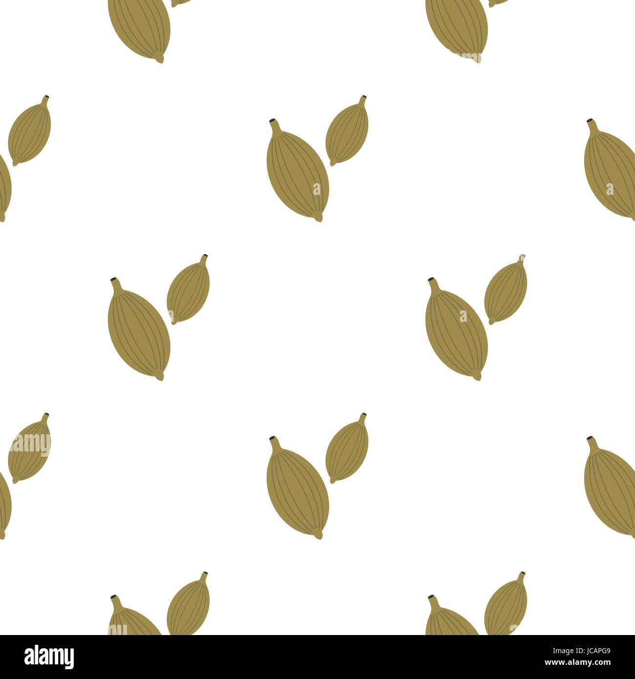 Cardamom plant india Stock Vector Images - Alamy